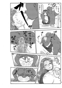 第28頁圖