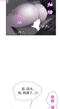 第512頁圖