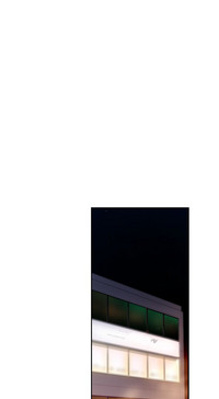 第504頁圖