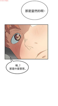 第416頁圖