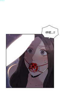 第200頁圖