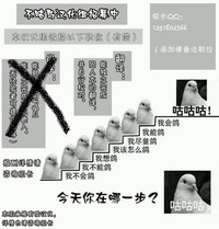 第172页图