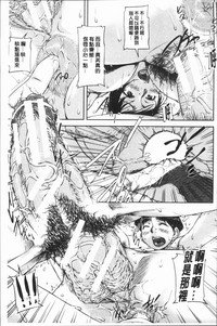 第184頁圖