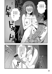 第20页图