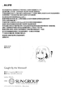 第12页图