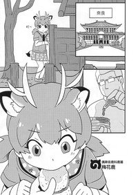 第8頁圖