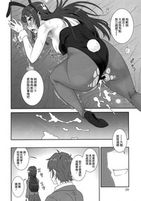 第24頁圖