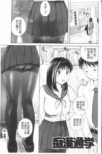 第216頁圖