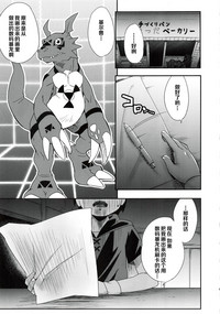 第4页图
