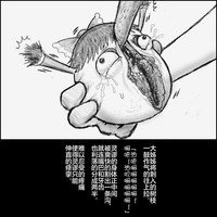 第32頁圖