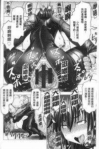 第204頁圖