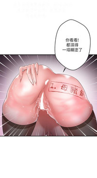 第164頁圖