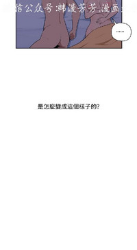 第504頁圖