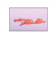 第512頁圖