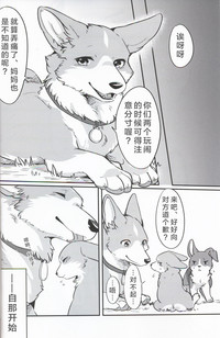 第4页图