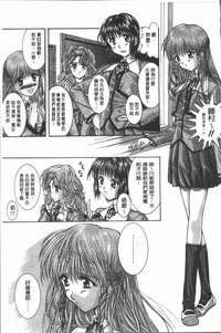 第148頁圖
