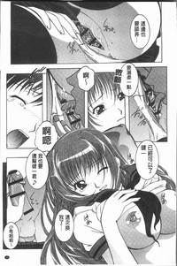 第48頁圖