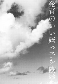 第4页图