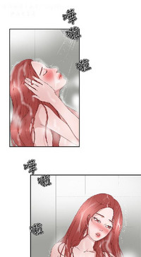 第528頁圖