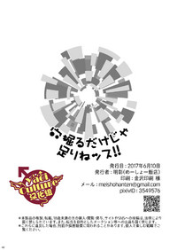 第48页图
