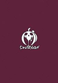 第12页图