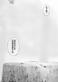 第28页图