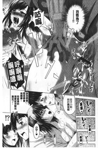 第184頁圖