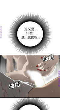 第232頁圖