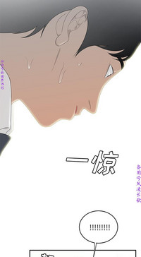第304頁圖