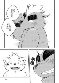 第100页图