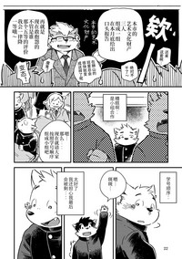 第20页图