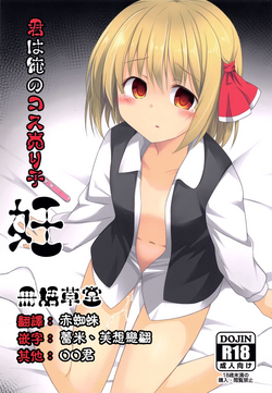 君は俺のコス売り子・妊圖