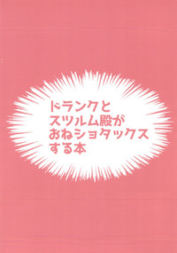 第28頁圖