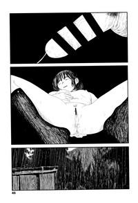 第48頁圖