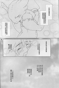 第48頁圖
