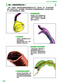 第28頁圖