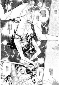 第204頁圖