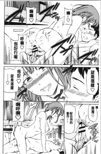 第204頁圖