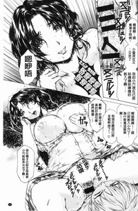 第164頁圖