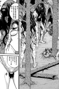 第320頁圖