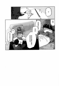 第20頁圖