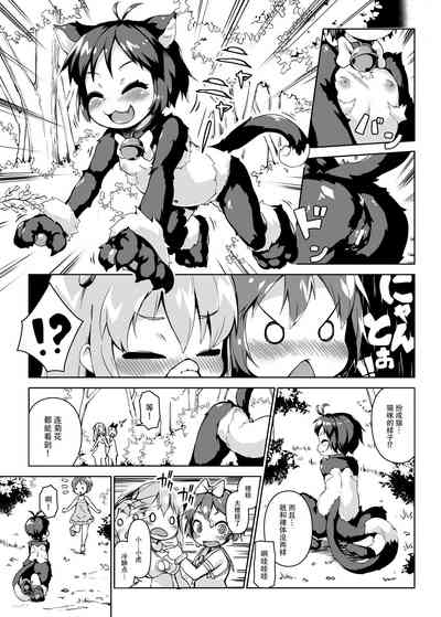 第8页图