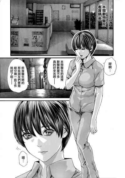 第8頁圖