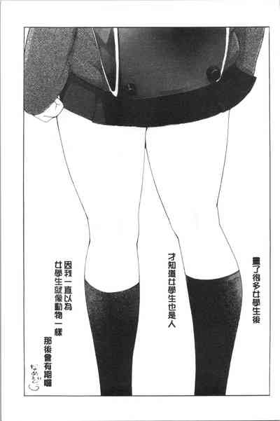 第204頁圖
