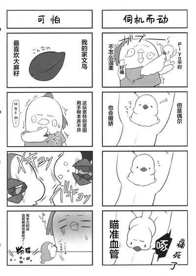 第20页图