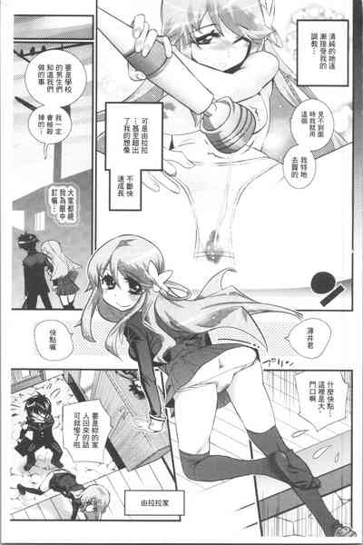 第204页图
