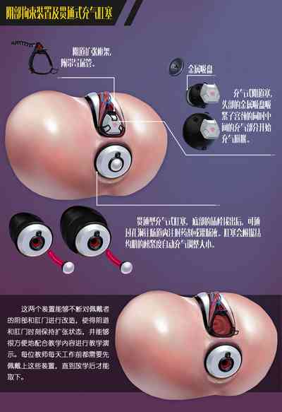 第8页图