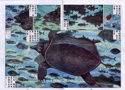 第116頁圖