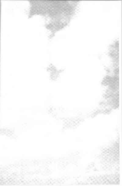 第132頁圖