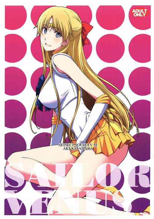 SAILOR VENUS圖